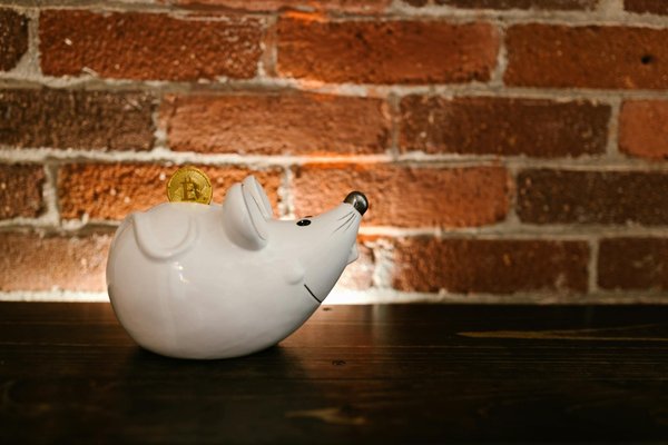 Guide Essentiel : Les Meilleurs Secrets pour Optimiser Votre Location d'Appartement en Colocation